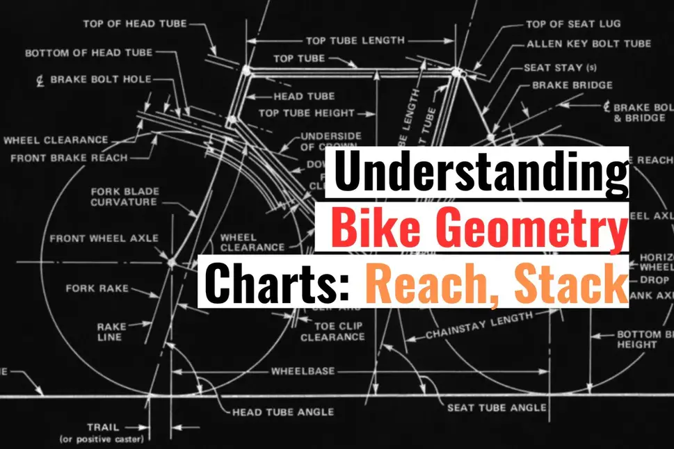 Suspension Geometry Comparison: Cars vs. Motorcycles vs. Bicycles